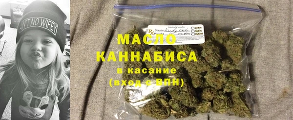 гидропоника Бородино