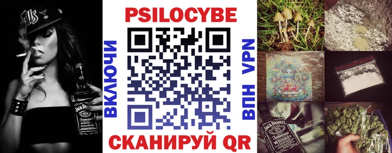 Галлюциногенные грибы Psilocybe  Купить где  Фурманов 